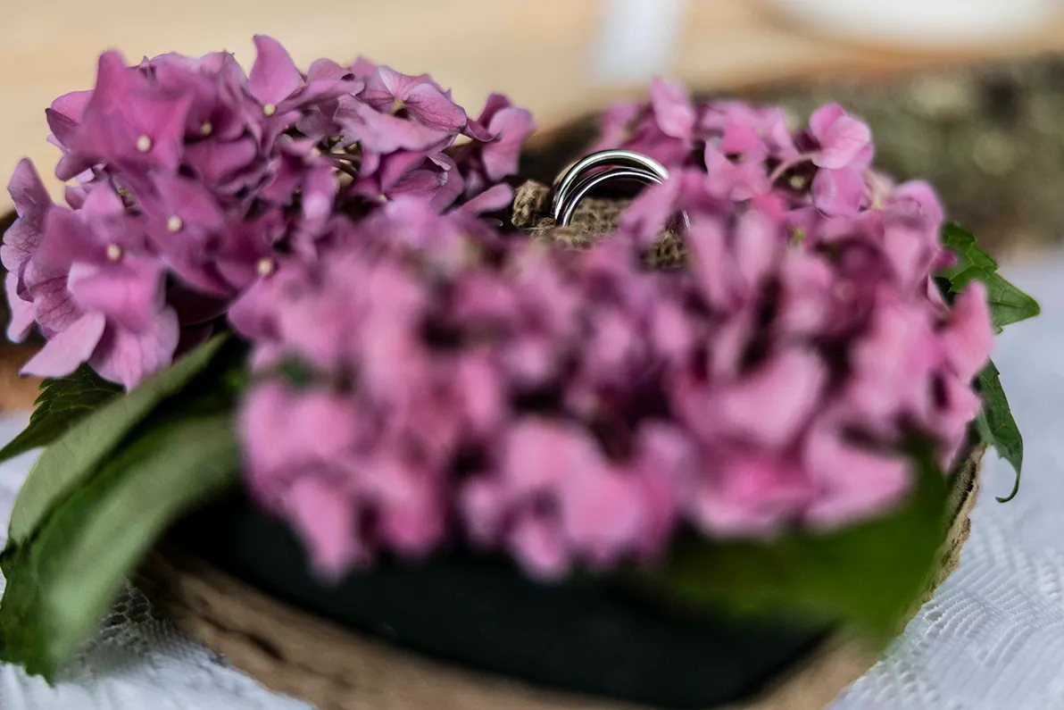 Eventfotografie Hochzeit